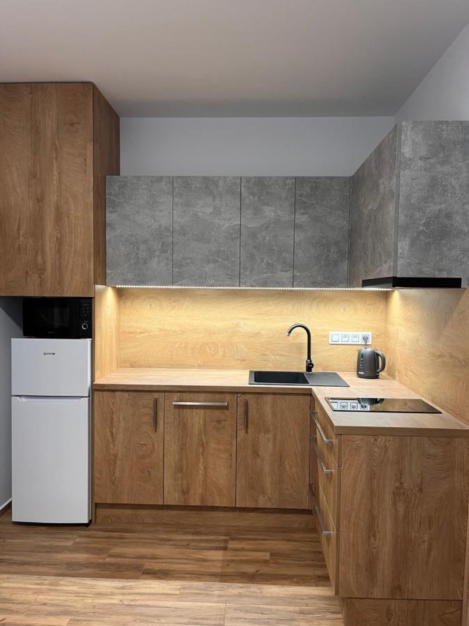 U Srubu Apartment Moravany  Екстериор снимка