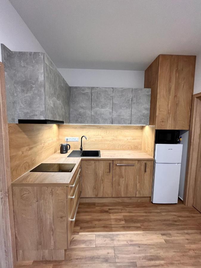 U Srubu Apartment Moravany  Екстериор снимка
